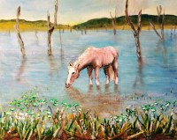 /album/eve-jorgensen-art/peaceful-life-of-a-horse-jpg/